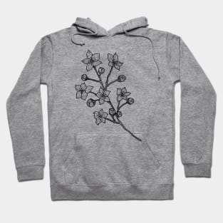 Cherry Blossom Branch-- floral, hand drawn, gifts for plant lovers Hoodie